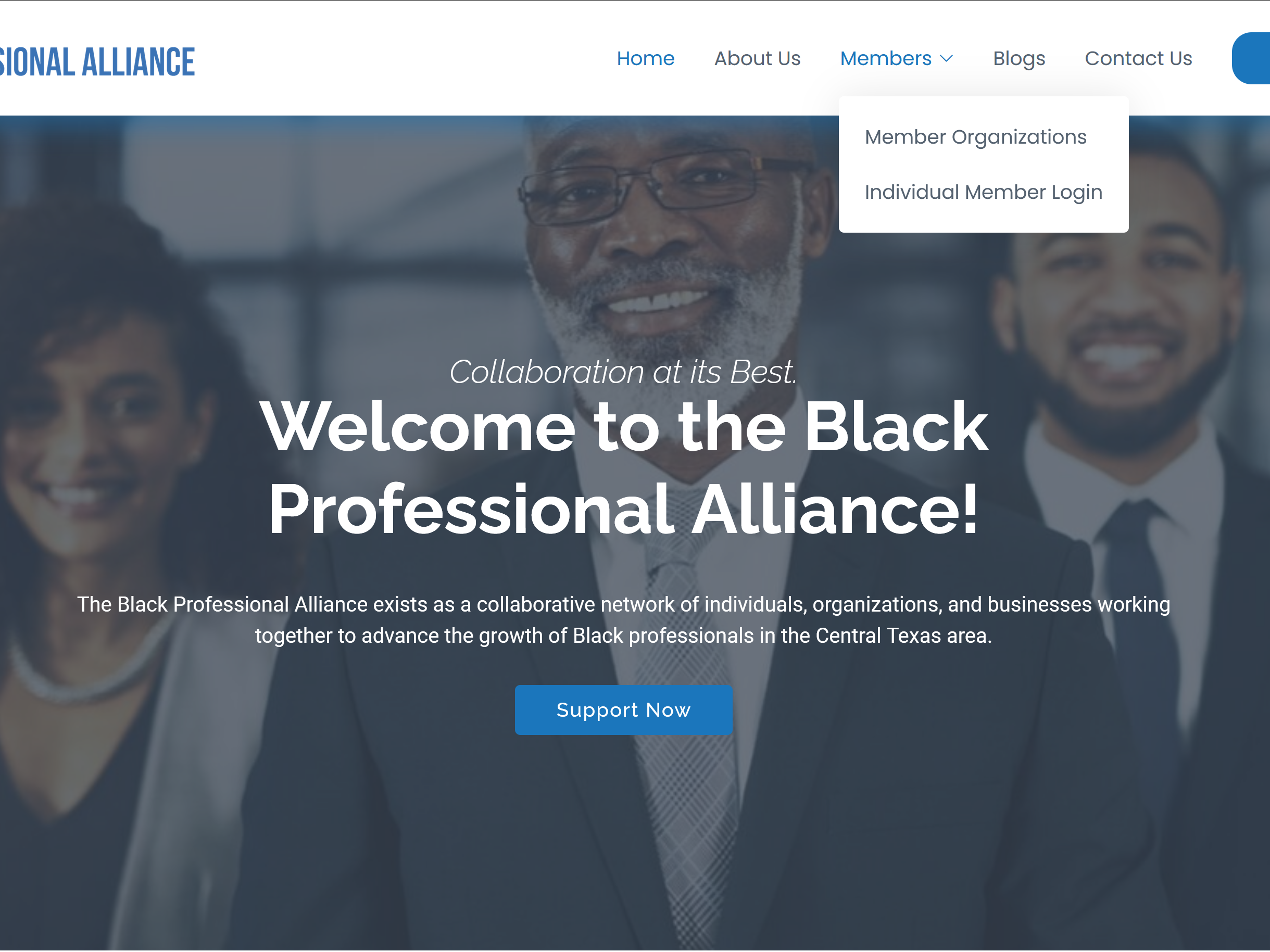 Black Professional Alliance